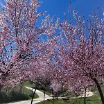 بيت للعطل Mil Mariposas